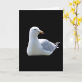 Seagull-Grüße Textkarte hinzufügen Karte (Gelbe Blume)