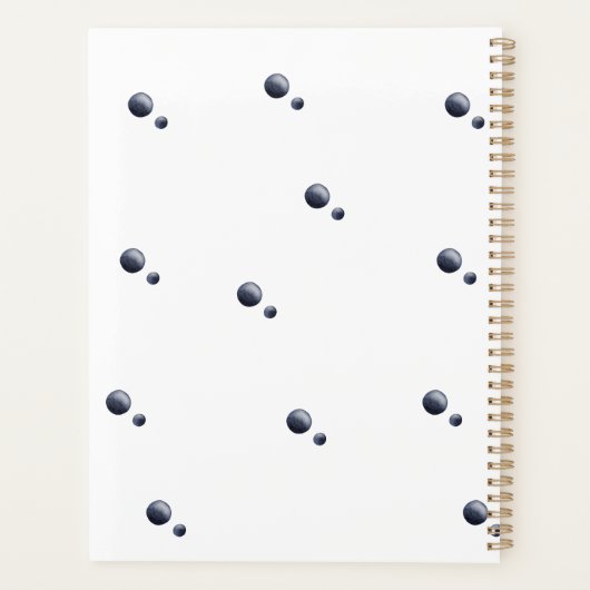 Seagull Hitching a Ride Planer (Rückseite)