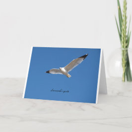 Seagull im Flug mit Leonardos Zitat im Inneren Karte