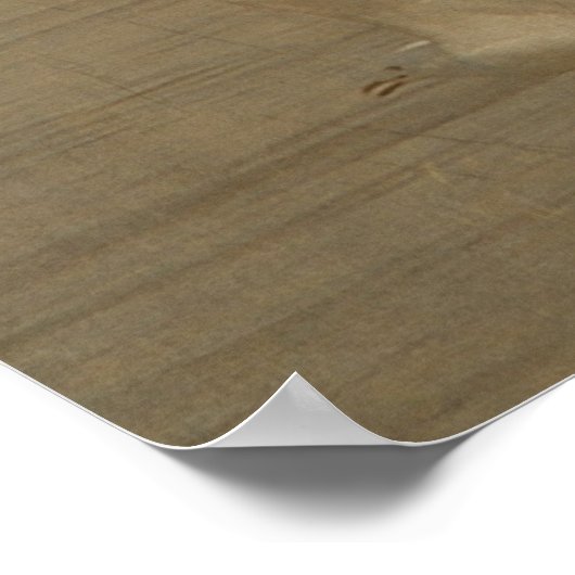 Seagull im Flug Poster (Ecke)