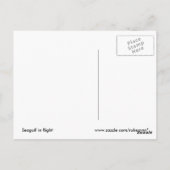 Seagull im Flug Postkarte (Rückseite)