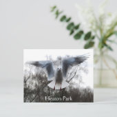 Seagull im Flug Postkarte (Stehend Vorderseite)