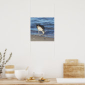 Seagull im Ozeanposter Poster (Küche)