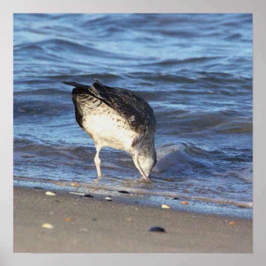 Seagull im Ozeanposter Poster (Vorne)