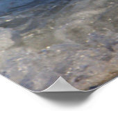 Seagull im Ozeanposter Poster (Ecke)