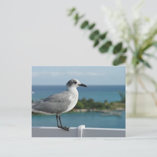 Seagull im Paradies Postkarte (Stehend Vorderseite)