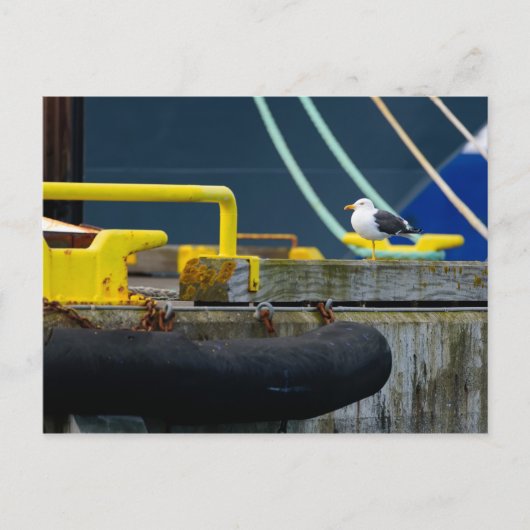 Seagull in abstrakter Umgebung Postkarte (Vorderseite)