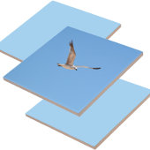 Seagull in Flight Blue Fliese