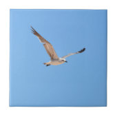 Seagull in Flight Blue Fliese (Vorderseite)