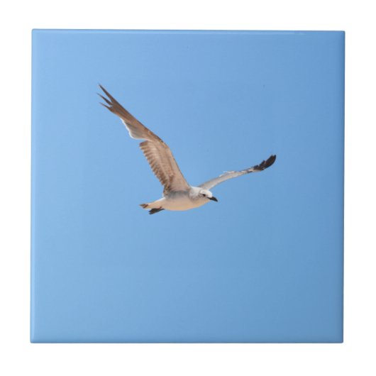 Seagull in Flight Blue Fliese (Vorderseite)