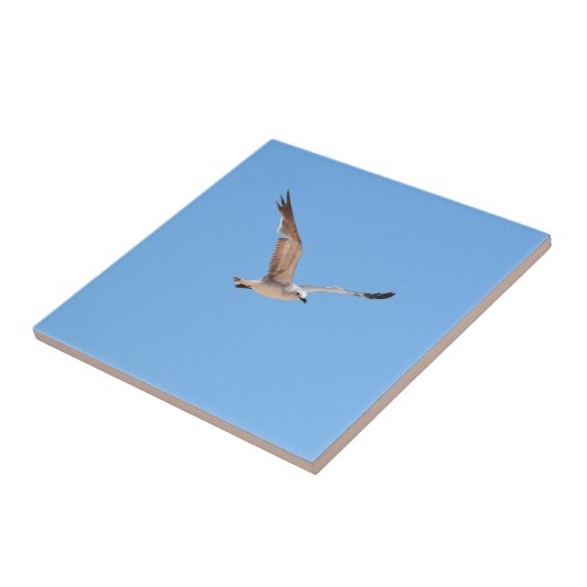 Seagull in Flight Blue Fliese (Seite)