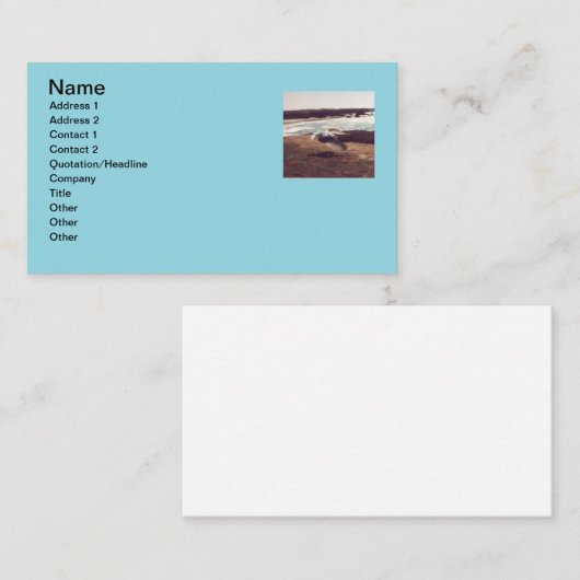 Seagull in Flight Business Cards Visitenkarte (Vorne/Hinten)