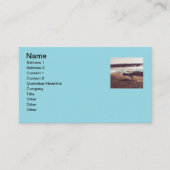 Seagull in Flight Business Cards Visitenkarte (Vorderseite)