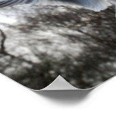 Seagull in Flight Poster (Ecke)