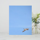 Seagull in Flight Sky Blue (Stehend Vorderseite)