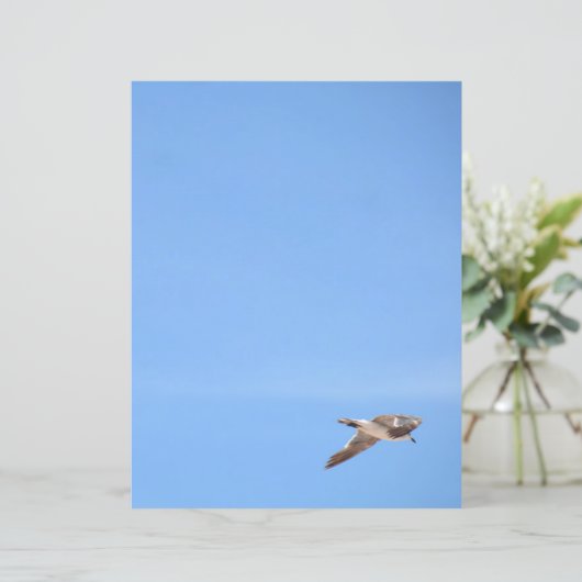 Seagull in Flight Sky Blue (Stehend Vorderseite)