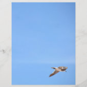 Seagull in Flight Sky Blue (Vorderseite)