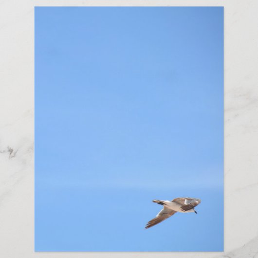 Seagull in Flight Sky Blue (Vorderseite)