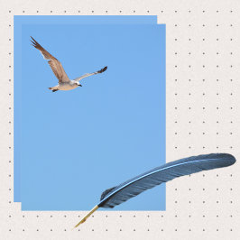 Seagull in Flight Sky Blue Coast Paper Sheet