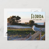 Seagull in Florida Sunshine Staat Honeymoon Island Postkarte (Vorne/Hinten)