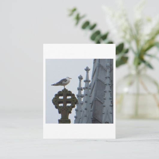 Seagull in Glasgow Postkarte (Stehend Vorderseite)