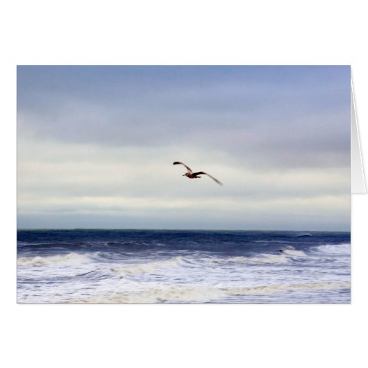 Seagull in Lila (Vorderseite (Horizontal))
