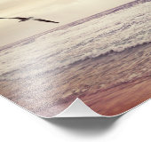 Seagull in Miramar Beach Florida Fotodruck (Ecke)