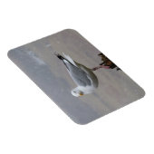 Seagull in Schnee Horizontal Flexible Foto Magnet (Rechte Seite)