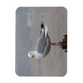 Seagull in Schnee Horizontal Flexible Foto Magnet (Vertikal)