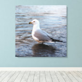 Seagull in Wasser mit weichem Morgenlicht Leinwanddruck (Insitu (Holzboden))