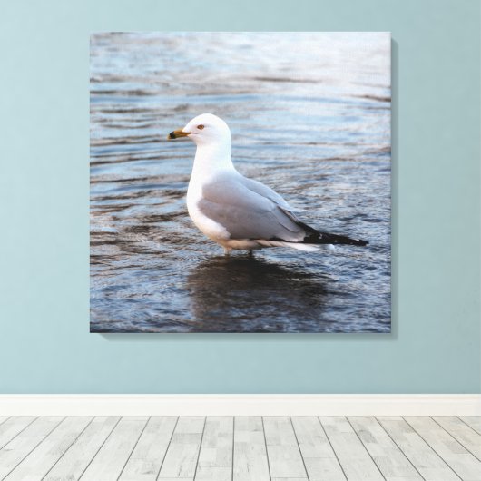 Seagull in Wasser mit weichem Morgenlicht Leinwanddruck (Insitu (Holzboden))