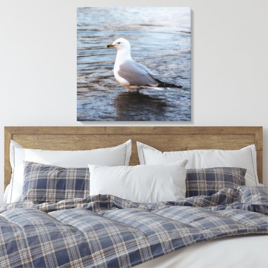 Seagull in Wasser mit weichem Morgenlicht Leinwanddruck (Insitu (Schlafzimmer))