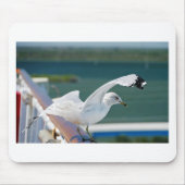 Seagull.JPG Mousepad (Vorne)
