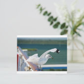 Seagull.JPG Postkarte (Stehend Vorderseite)