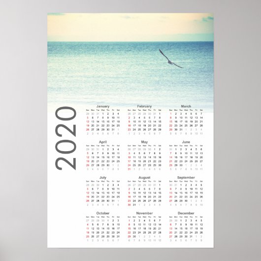 Seagull-Kalender 2020-Poster Poster (Vorne)
