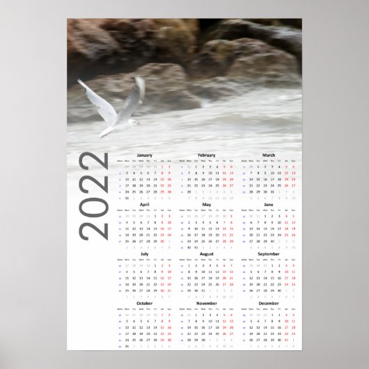 Seagull Kalender 2022 Poster - Montag zuerst (Vorne)