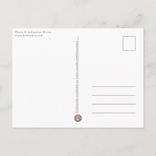 Seagull-Kampf Postkarte (Rückseite)