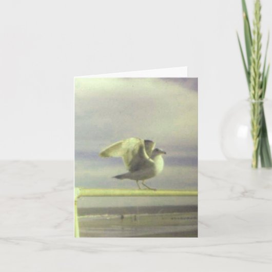 Seagull-Karte Karte (Vorderseite)