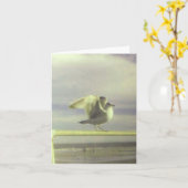 Seagull-Karte Karte (Gelbe Blume)