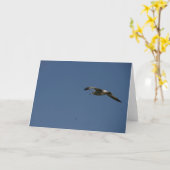 Seagull-Karte Karte (Gelbe Blume)