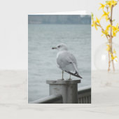 Seagull-Karte Karte (Gelbe Blume)