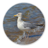 Seagull-Keramik Keramikknauf (Vorderseite)