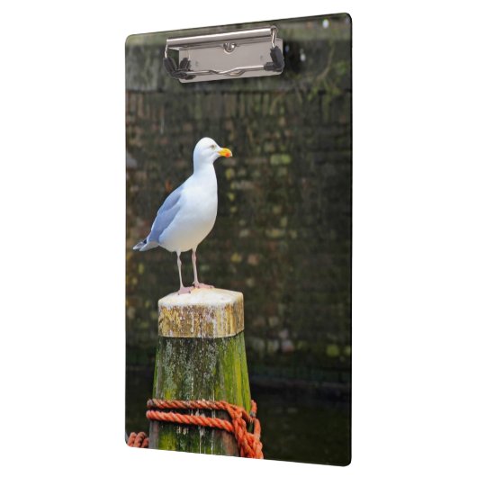 Seagull Klemmbrett (Links)