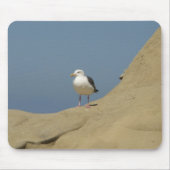 Seagull, La Jolla, Kalifornien Mousepad (Vorne)