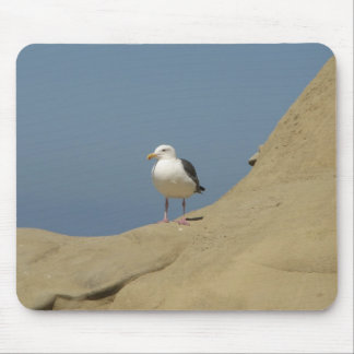 Seagull, La Jolla, Kalifornien Mousepad