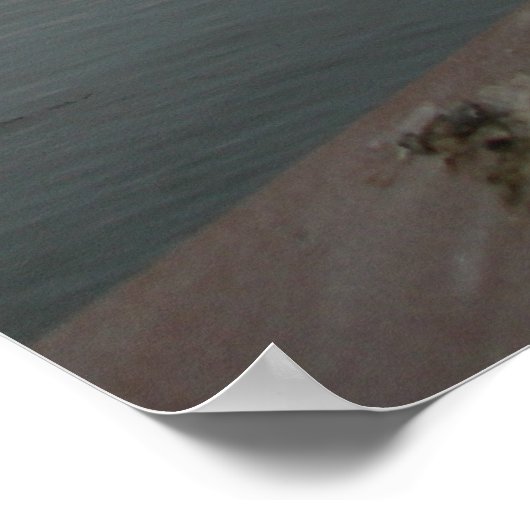 Seagull lächeln poster (Ecke)