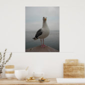 Seagull lächeln poster (Küche)