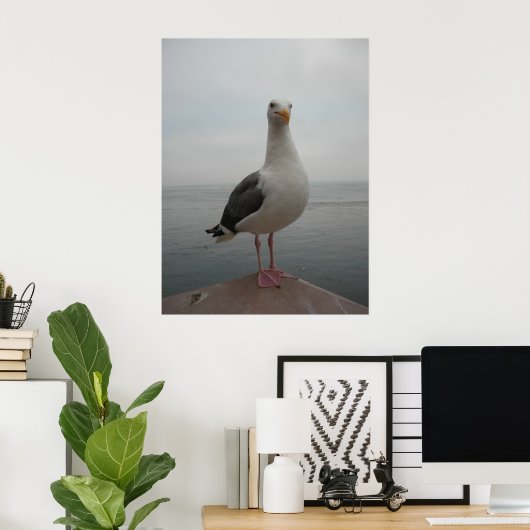 Seagull lächeln poster (Heimbüro)