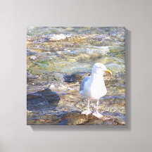 Seagull-Leinwand