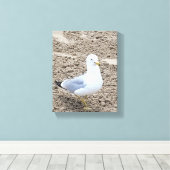 Seagull Leinwanddruck (Insitu (Holzboden))